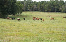 1074 Midway Odom Road, Forest, MS 39074