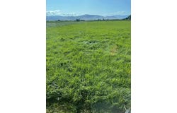 60261 Watson Road, St Ignatius, MT 59865