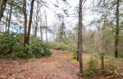 Deppners Road, Blakeslee, PA 18610