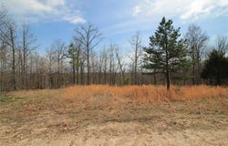 0 Madison CR 411 (121a), Fredericktown, MO 63645