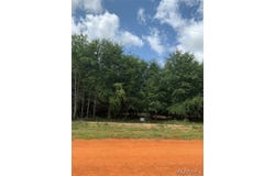 Deer Loop lot: 17, Camden, AL 36726