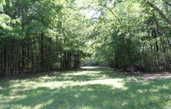 Williams Road, Henderson, TN 38340