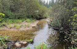 NKA Soggy Bottom Ln, Cusick, WA 99119