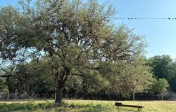 CR 353, Barksdale, TX 78828