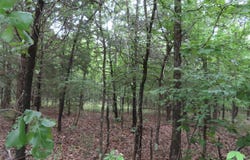 Rural County Road, Red Oak, OK 74563