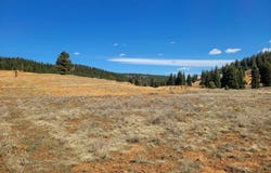 520 N Grassy Trail, Duck Creek, UT 84762