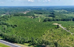 220 Acres On Reese Road, Hamilton, AL 35570