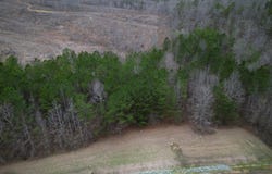 STONEY POINT lot: 214, Double Springs, AL 35553