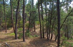 Cirrus Way, Trinidad, CO 81082
