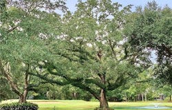 37 PINECREST Drive, Covington, LA 70433