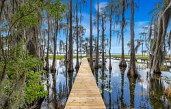 222 SE 5TH AVENUE, MELROSE, FL 32666