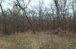TBD Dog Hollow, WIOTA, WI 53504