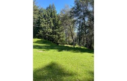 500 Wildberry DR, BOULDER CREEK, CA 95006