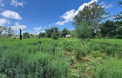 Elsberry, MO 63343
