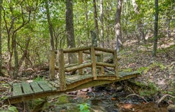 68 Bluff View Drive, Dunlap, TN 37327