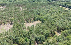 7.75 ACRES SCOUT ROAD, MEARS, MI 49436