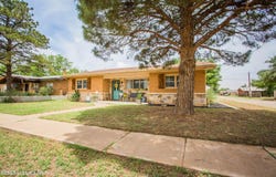 202 N 19th Street, Lamesa, TX 79331