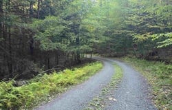 0 Thayer Road, Westminster, VT 05158