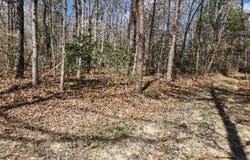 10.79ac S/O Buffalo Rd, Oneida, TN 37841