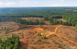 Flat Rock Road, Heath Springs, SC 29058