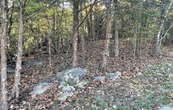 Oakwood Drive, Hollister, MO 65672