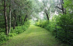 1352 E School Road, Dairyland, WI 54830