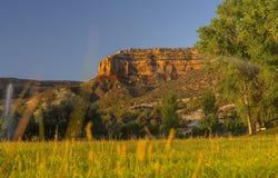 363 Granite Falls Way, Grand Junction, CO 81507