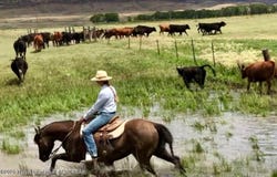 475 COUNTY RD 324, Sinclair, WY 82334