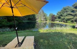 226 Crystal Meadows Rd, Downsville, NY 13782