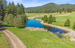 3114 OLD BALDY RD, RICE, WA 99167