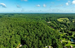 0 Grant Lane, Bates, AR 72501-0001