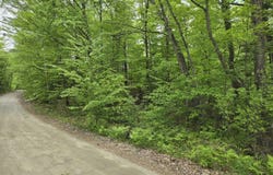 Staples Pond Road lot: 10C, Temple, ME 04984