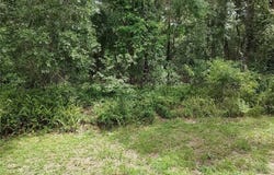 8488 E Henderson Trail, Inverness, FL 34450