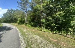 454 Logger Lane, Cedar Grove, TN 38321