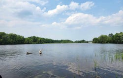 N5607 HWY 107, Irma, WI 54442