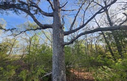 3480 Bethel Drive, Summersville, MO 65571