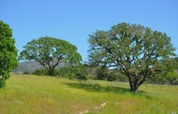 2186 Monticello Road, Napa, CA 94558