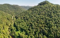 4609 Greasy Creek Road, Stinnett, KY 40868