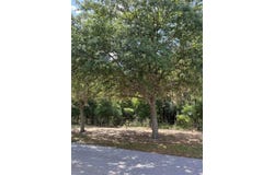 TBD Grass Roots Road, Groveland, FL 34736