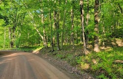 Jim Lane Road, Bovina Center, NY 13740