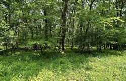 E Alpine Drive lot: 94, Terra Alta, WV 26764