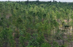 000 Hwy 104, Sardis, TN 38370