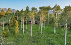 425-455 FALL CREEK, Wilson, WY 83014