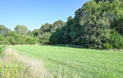 000 State Highway MM, Niangua, MO 65713