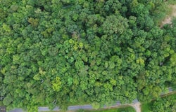 Lots 182, 183, 184 ROCKWOOD TRAIL, WINCHESTER, VA 22602