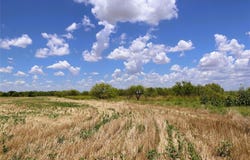 452 Pitts Road, Wichita Falls, TX 76305