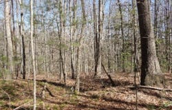 391 Ridge Road, Lancing, TN 37770