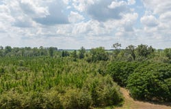 0 GA 133 North, Doerun, GA 31744