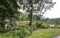 151 ASH STREET, LEEDS, AL 35094