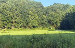 1580 Bombshell Creek Road, Burkesville, KY 42717